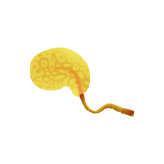 leaf3